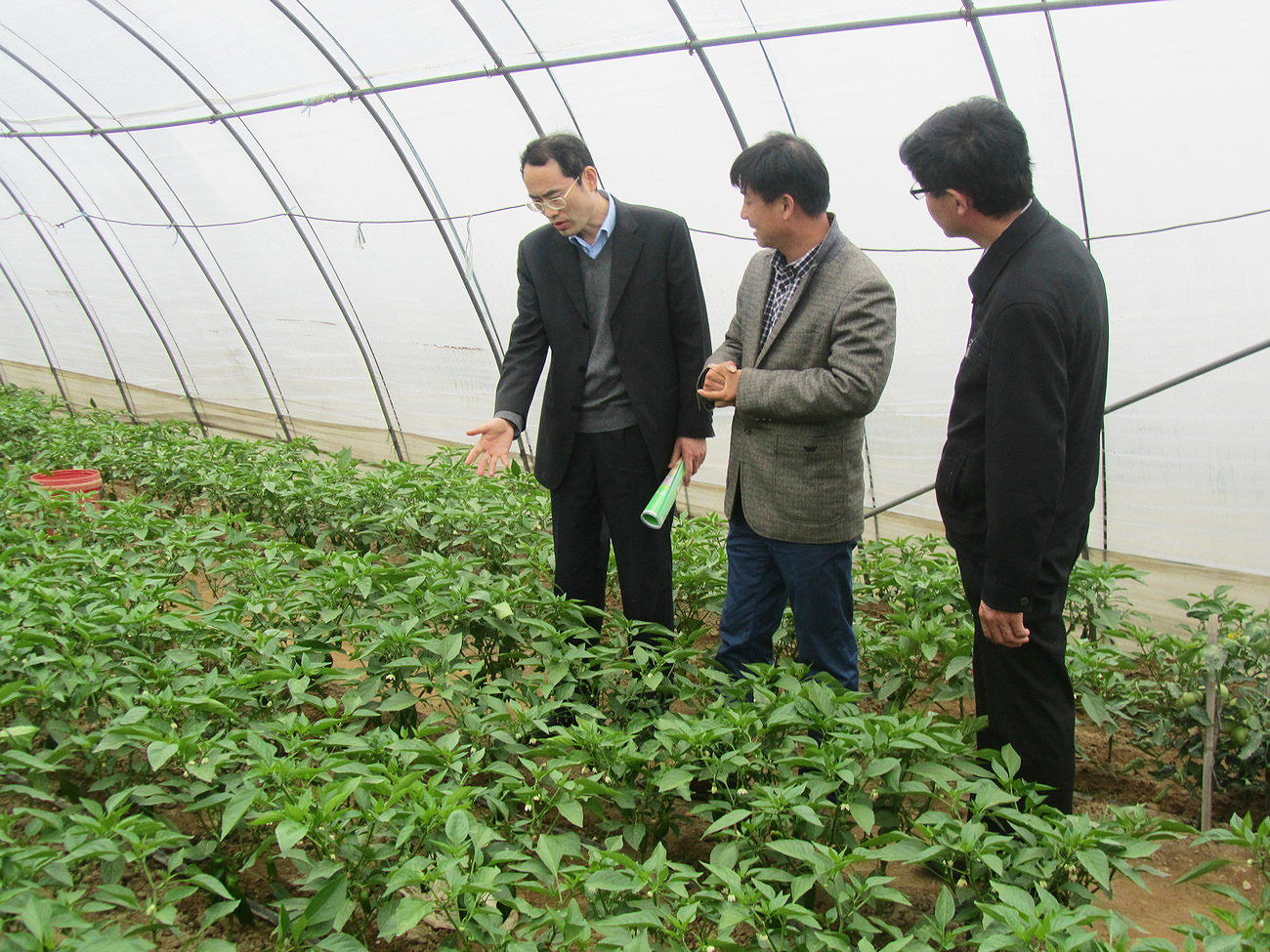 中国绿色食品发展中心主任、党委副书记张华荣来我公司基地调研绿色食品建设工作
