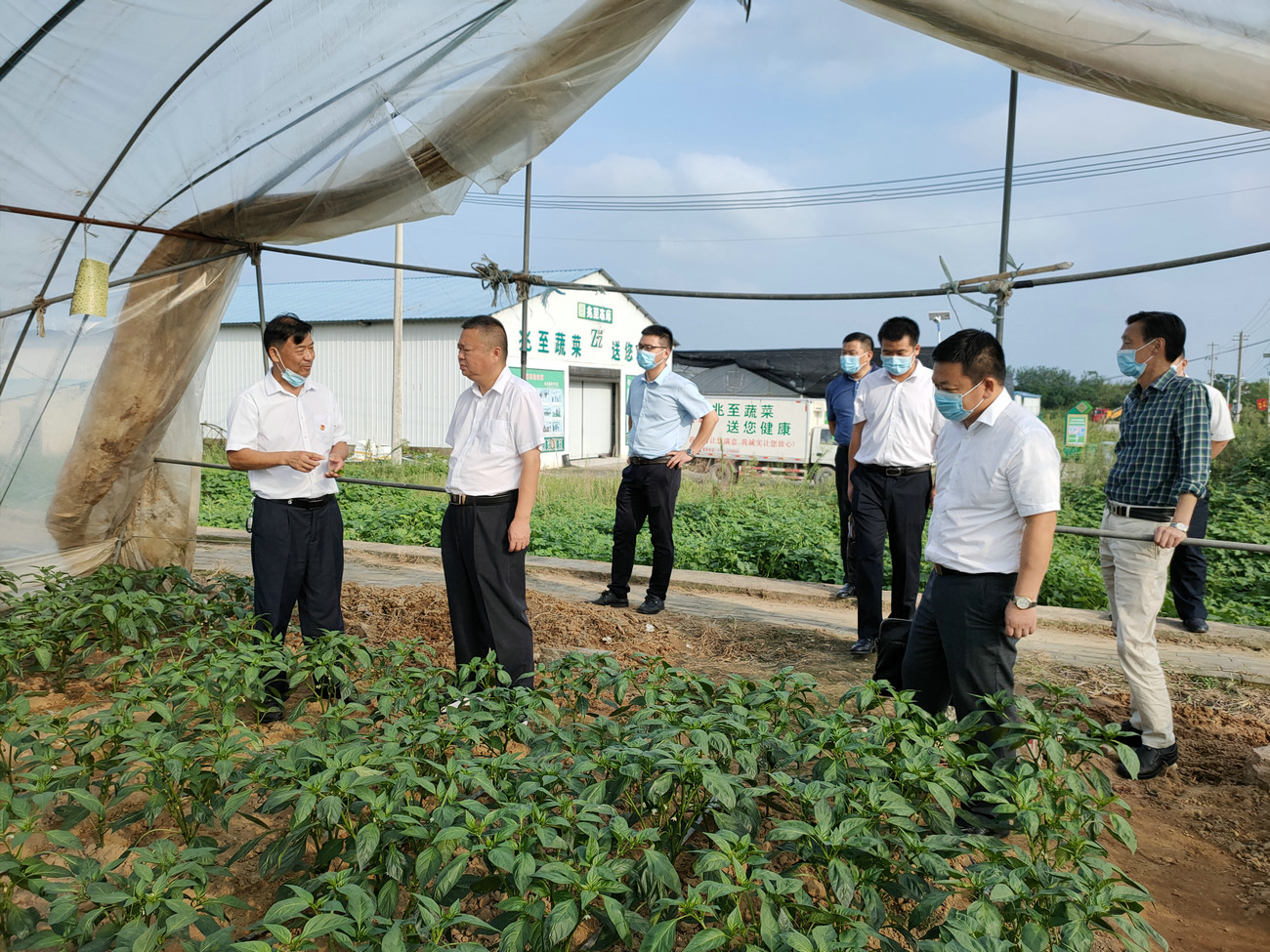 麻城市委书记汪国兵来公司基地调研指导工作